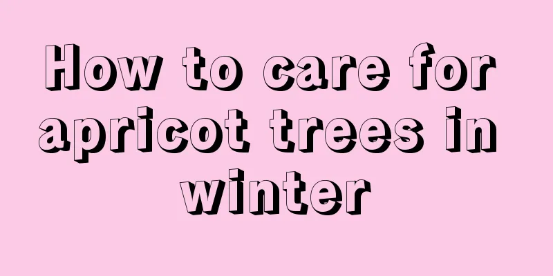 How to care for apricot trees in winter