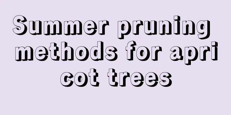 Summer pruning methods for apricot trees