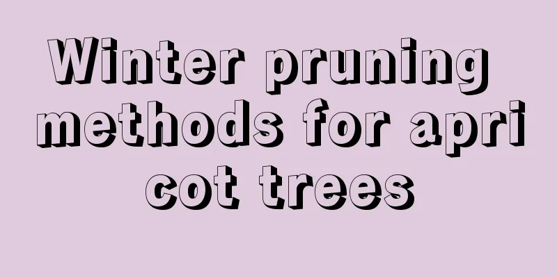 Winter pruning methods for apricot trees