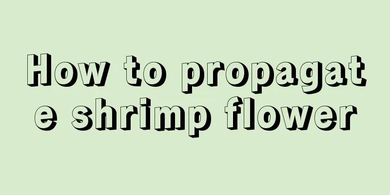 How to propagate shrimp flower