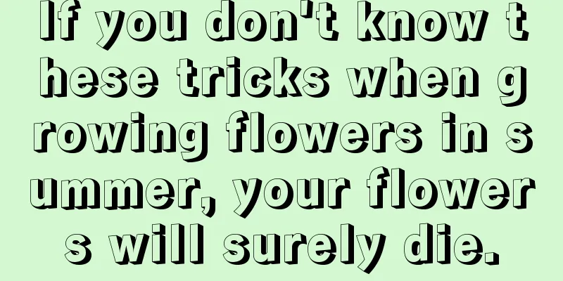 If you don't know these tricks when growing flowers in summer, your flowers will surely die.