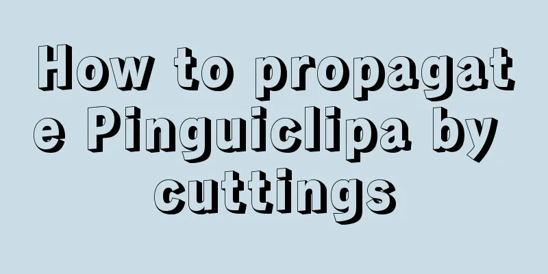 How to propagate Pinguiclipa by cuttings