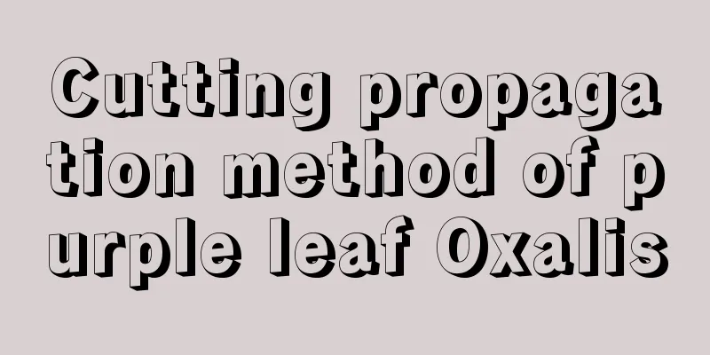 Cutting propagation method of purple leaf Oxalis