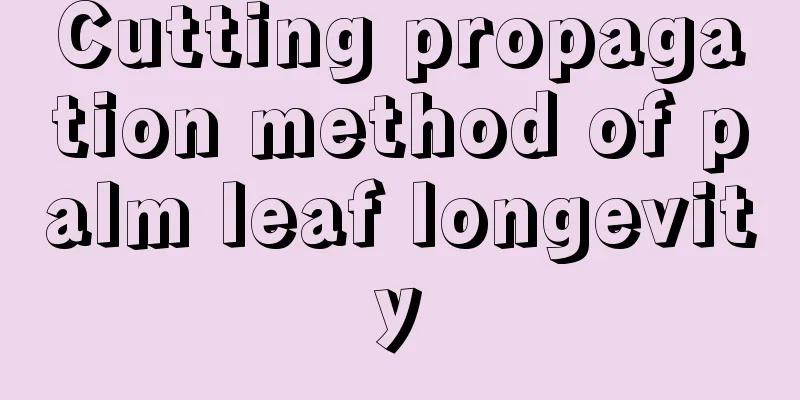 Cutting propagation method of palm leaf longevity