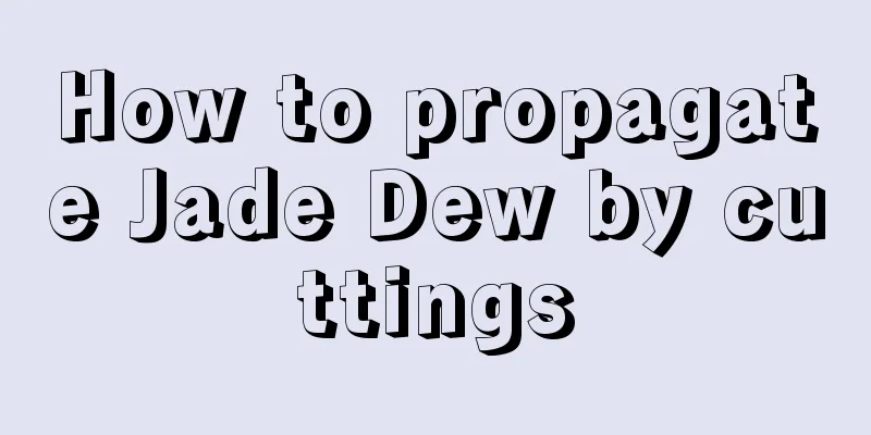 How to propagate Jade Dew by cuttings