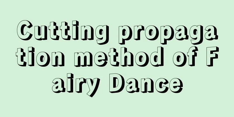 Cutting propagation method of Fairy Dance