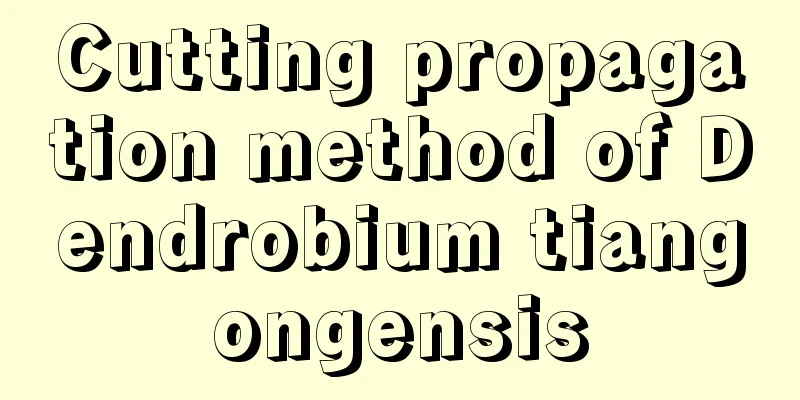 Cutting propagation method of Dendrobium tiangongensis