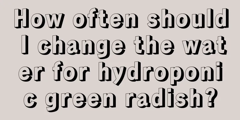 How often should I change the water for hydroponic green radish?