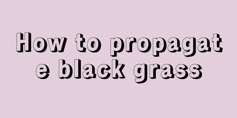 How to propagate black grass