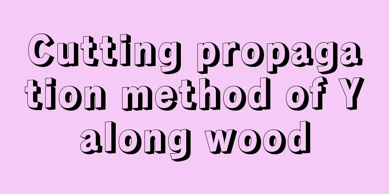 Cutting propagation method of Yalong wood