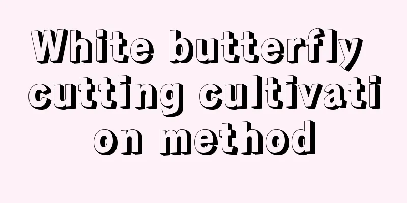 White butterfly cutting cultivation method