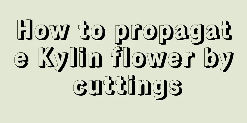 How to propagate Kylin flower by cuttings