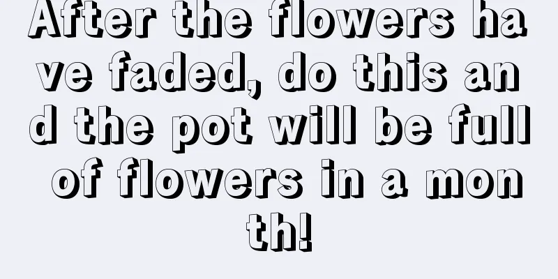 After the flowers have faded, do this and the pot will be full of flowers in a month!