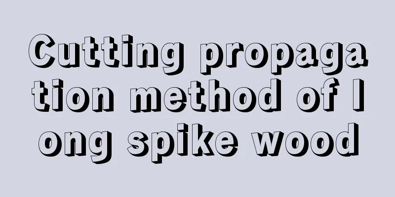 Cutting propagation method of long spike wood