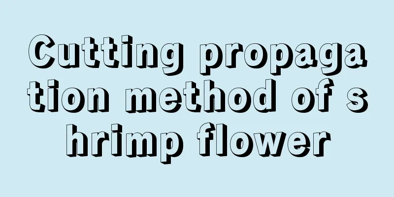 Cutting propagation method of shrimp flower