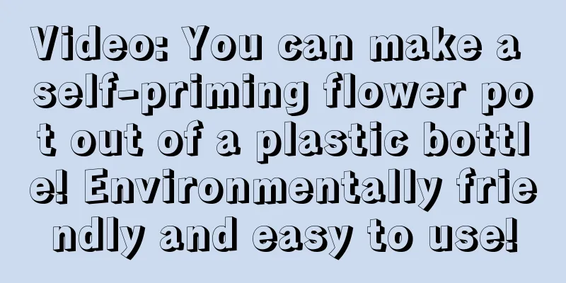 Video: You can make a self-priming flower pot out of a plastic bottle! Environmentally friendly and easy to use!