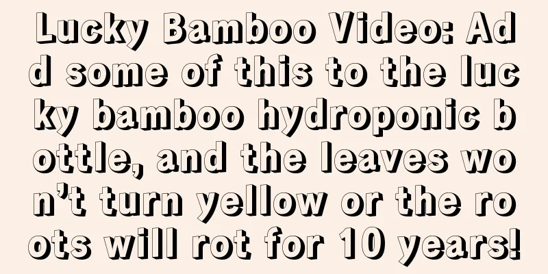 Lucky Bamboo Video: Add some of this to the lucky bamboo hydroponic bottle, and the leaves won’t turn yellow or the roots will rot for 10 years!