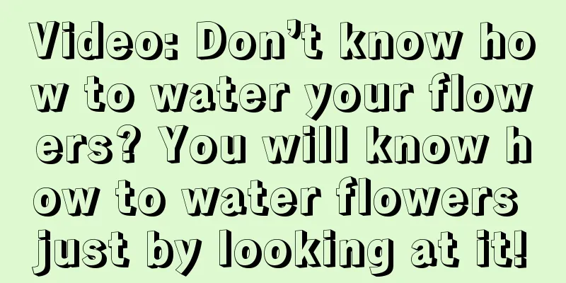 Video: Don’t know how to water your flowers? You will know how to water flowers just by looking at it!