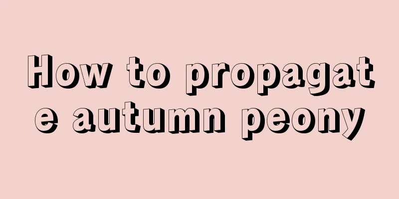 How to propagate autumn peony