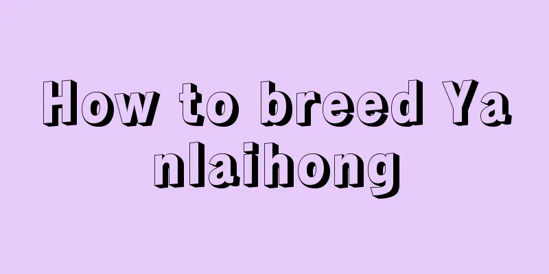 How to breed Yanlaihong