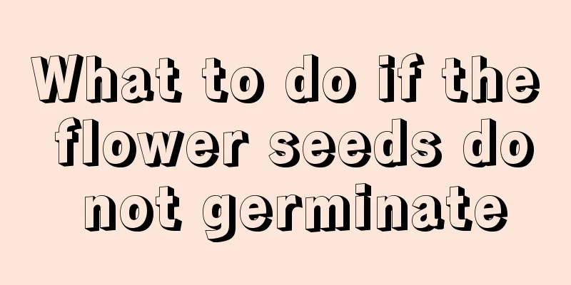 What to do if the flower seeds do not germinate