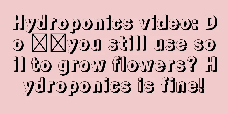 Hydroponics video: Do ​​you still use soil to grow flowers? Hydroponics is fine!