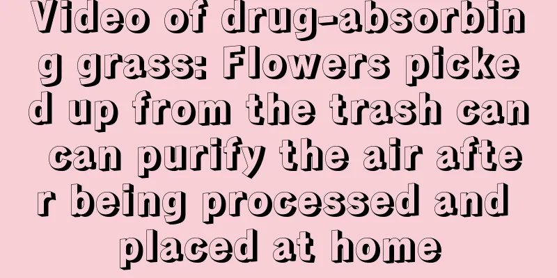 Video of drug-absorbing grass: Flowers picked up from the trash can can purify the air after being processed and placed at home