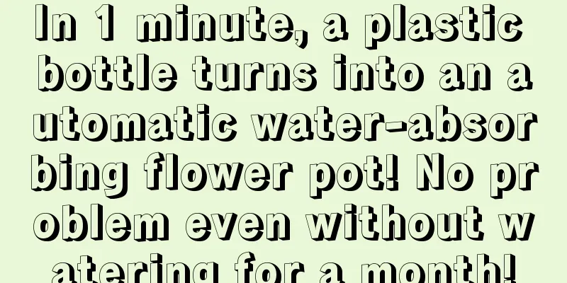 In 1 minute, a plastic bottle turns into an automatic water-absorbing flower pot! No problem even without watering for a month!