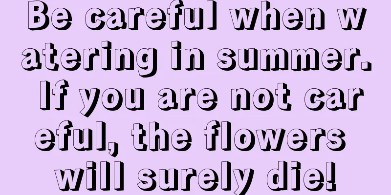 Be careful when watering in summer. If you are not careful, the flowers will surely die!