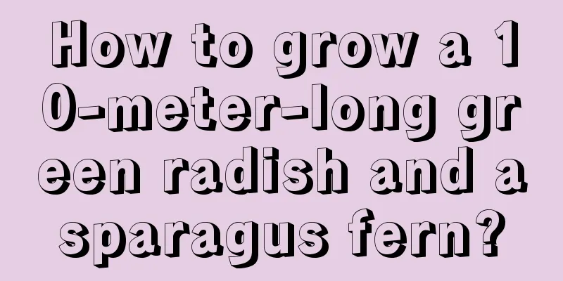 How to grow a 10-meter-long green radish and asparagus fern?