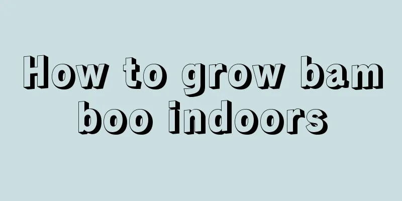 How to grow bamboo indoors