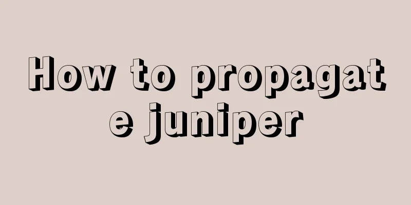 How to propagate juniper