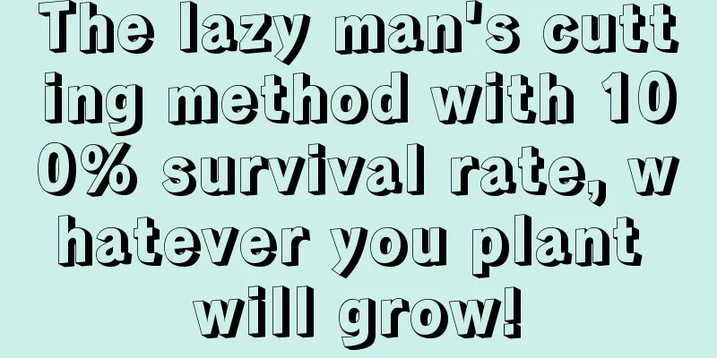 The lazy man's cutting method with 100% survival rate, whatever you plant will grow!