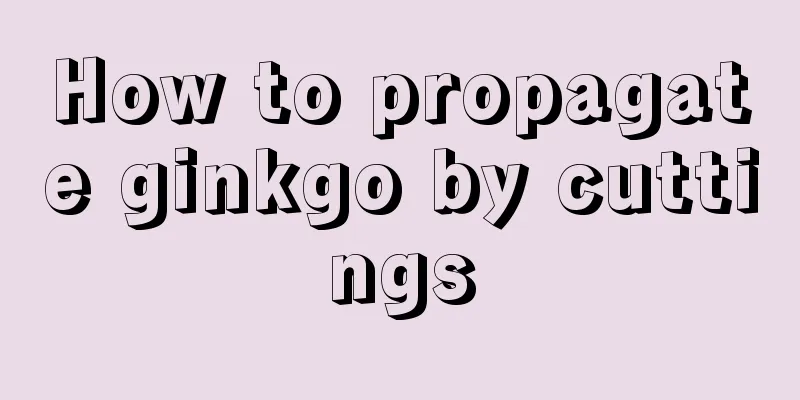 How to propagate ginkgo by cuttings