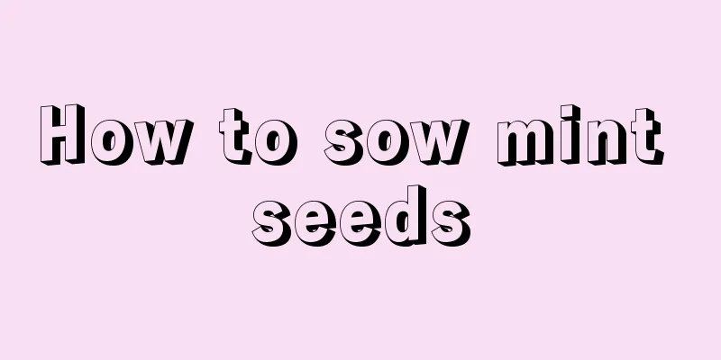 How to sow mint seeds