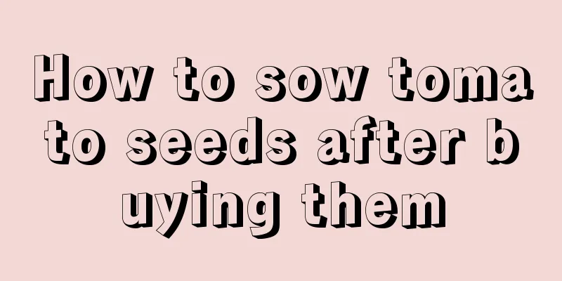 How to sow tomato seeds after buying them