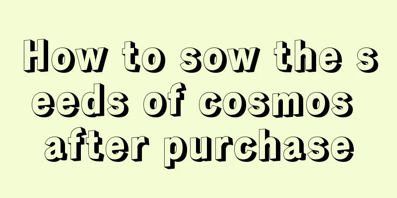 How to sow the seeds of cosmos after purchase