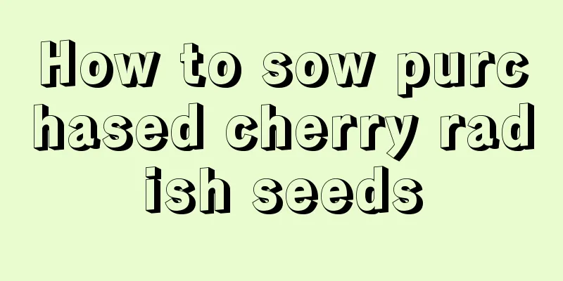 How to sow purchased cherry radish seeds