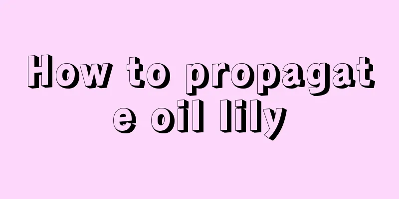 How to propagate oil lily