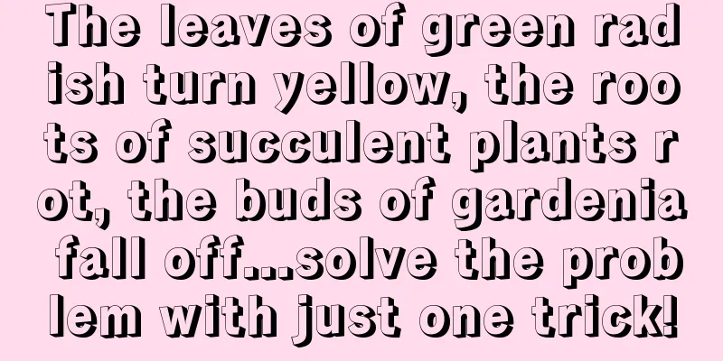 The leaves of green radish turn yellow, the roots of succulent plants rot, the buds of gardenia fall off...solve the problem with just one trick!