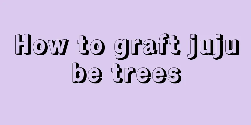 How to graft jujube trees