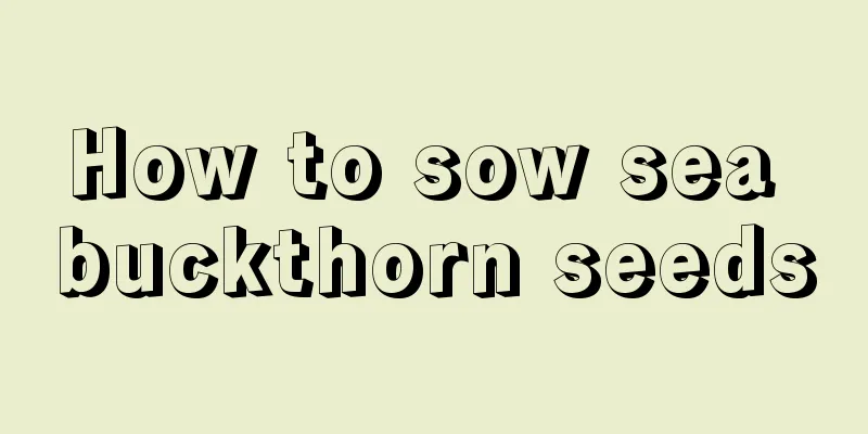 How to sow sea buckthorn seeds