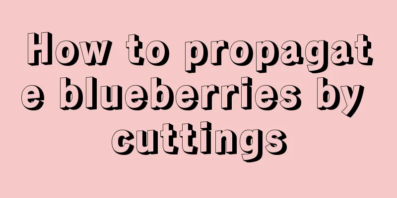 How to propagate blueberries by cuttings