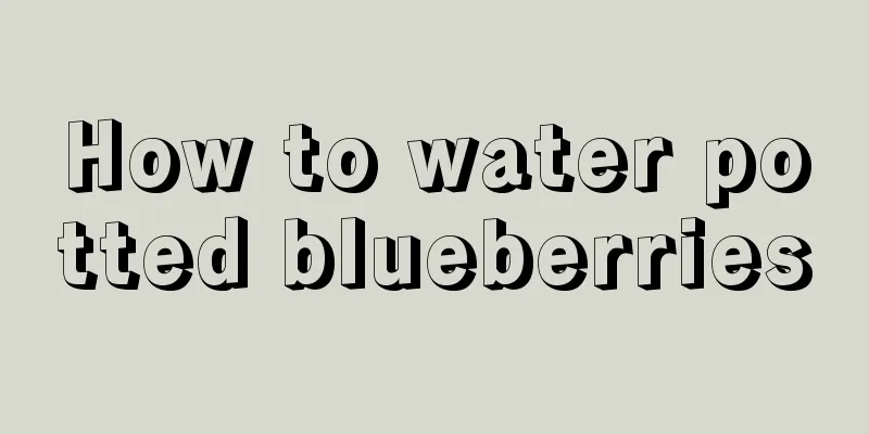 How to water potted blueberries