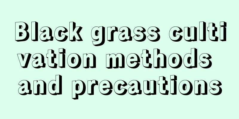 Black grass cultivation methods and precautions