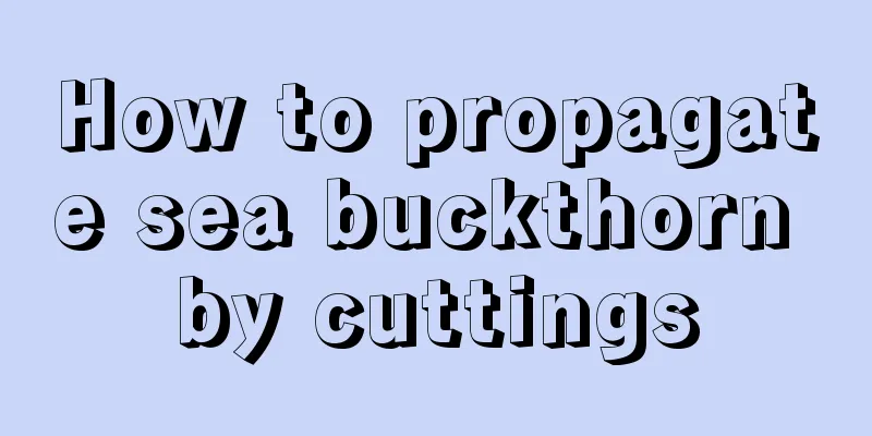 How to propagate sea buckthorn by cuttings