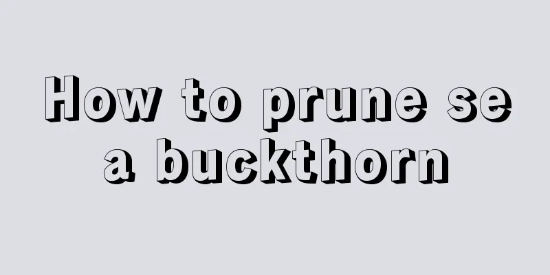 How to prune sea buckthorn