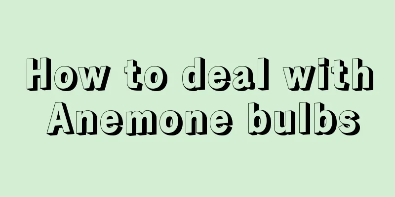 How to deal with Anemone bulbs