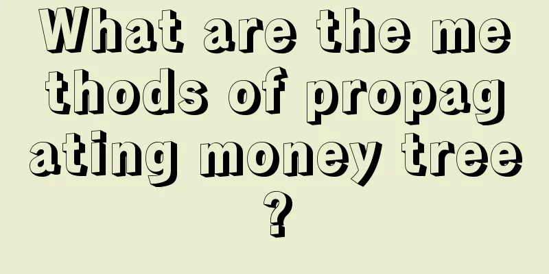 What are the methods of propagating money tree?