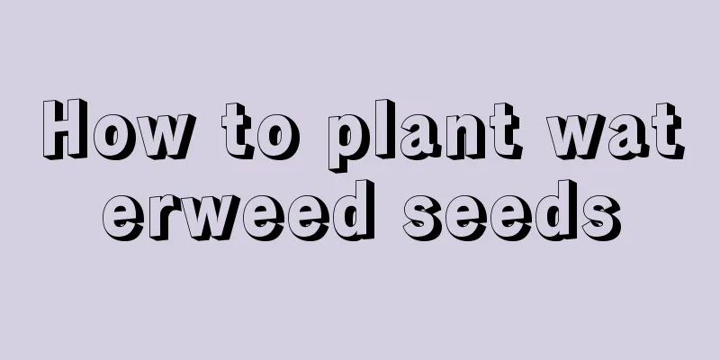 How to plant waterweed seeds